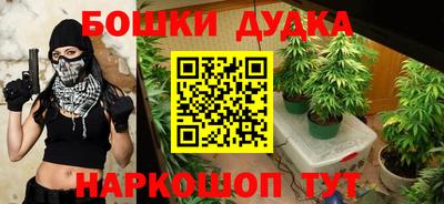Альфа ПВП Лесосибирск