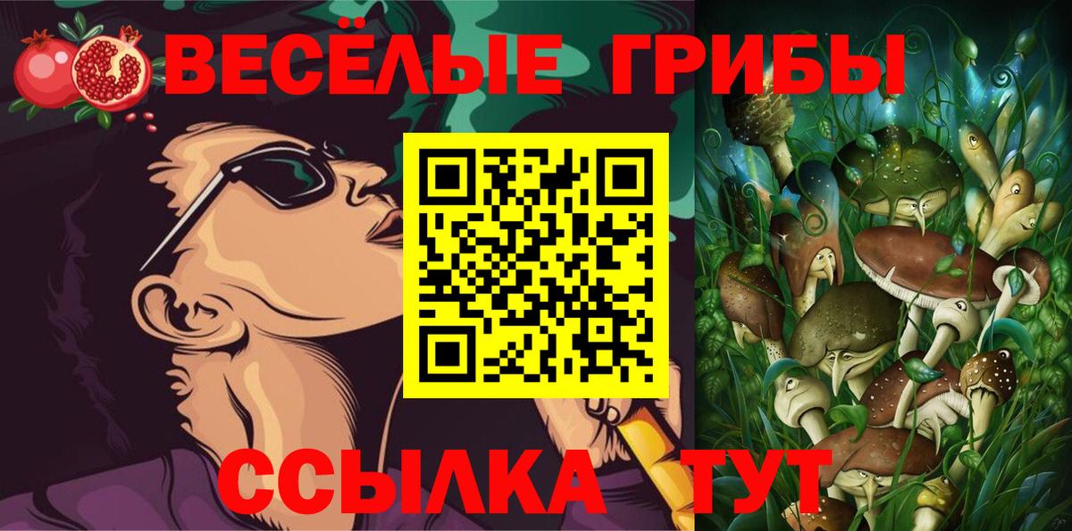 Галлюциногенные грибы Psilocybe Зеленогорск