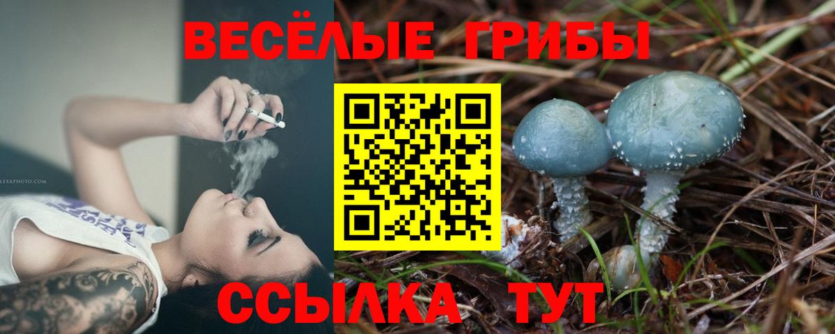 купить наркотик  Вход с VPN  Зеленогорск  Галлюциногенные грибы Psilocybine cubensis 